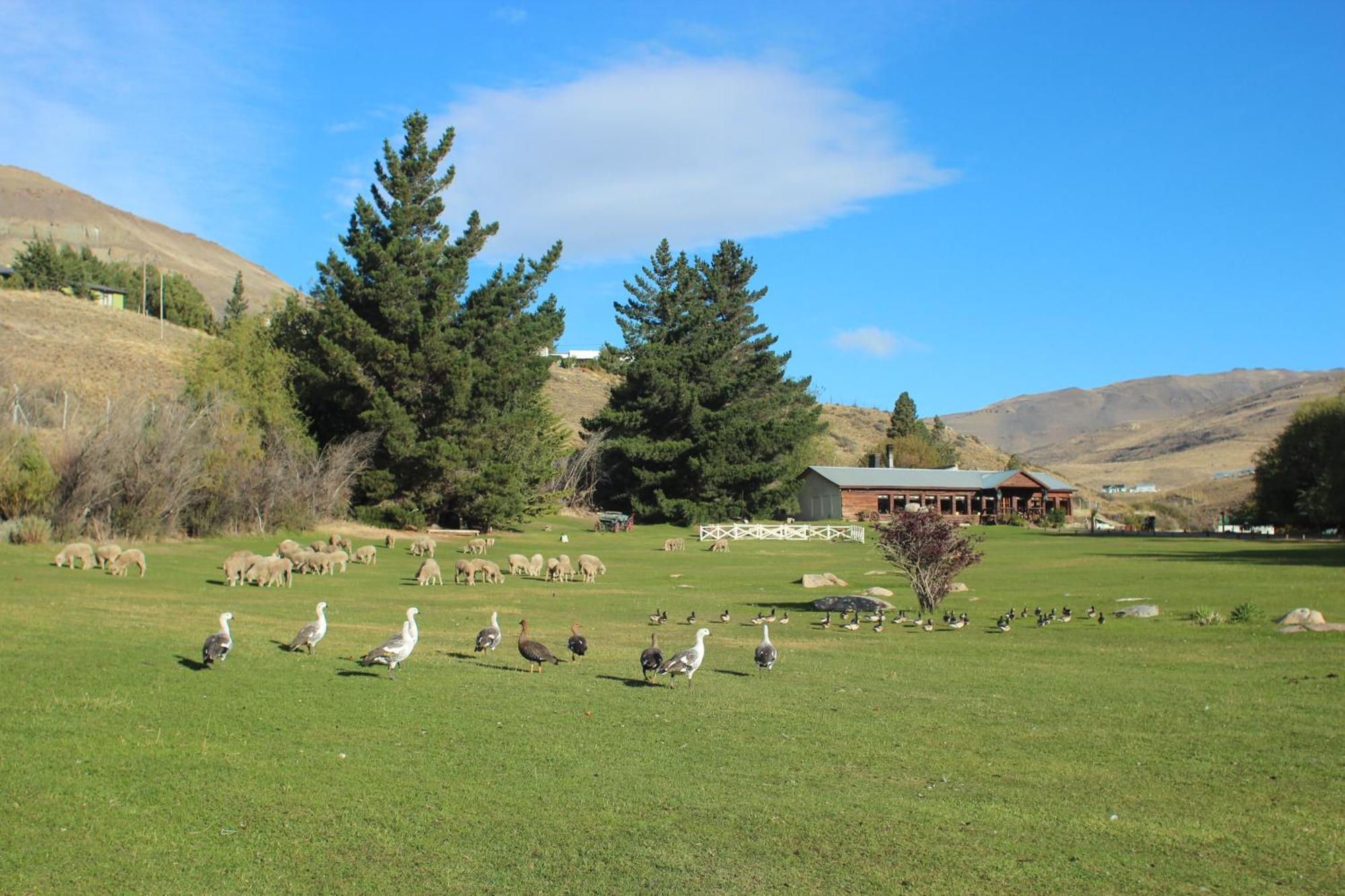 Kau Yatun Hotel Boutique El Calafate Eksteriør bilde